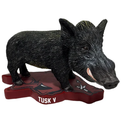 Arkansas Razorbacks Mascot Bobbleheads - Image 12