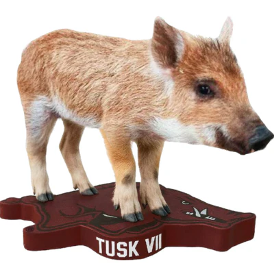 Arkansas Razorbacks Mascot Bobbleheads - Image 14