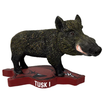 Arkansas Razorbacks Mascot Bobbleheads - Image 8