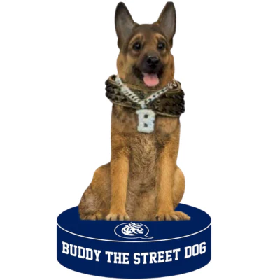 Buddy the Street Dog Queens University of Charlotte Bobblehead (Presale) - Image 2