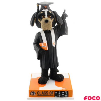 Graduation Mascot Bobbleheads - Image 22