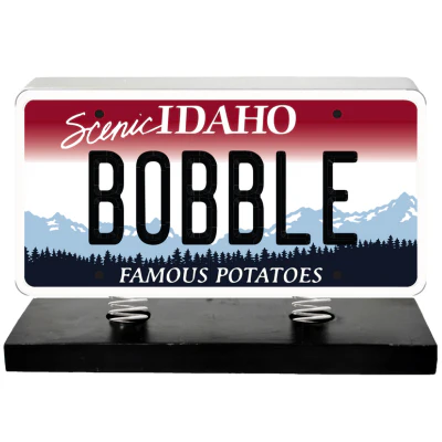 License Plate Bobbles - Image 13
