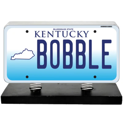 License Plate Bobbles - Image 18