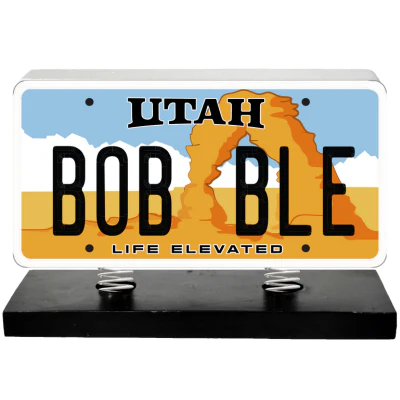 License Plate Bobbles - Image 46