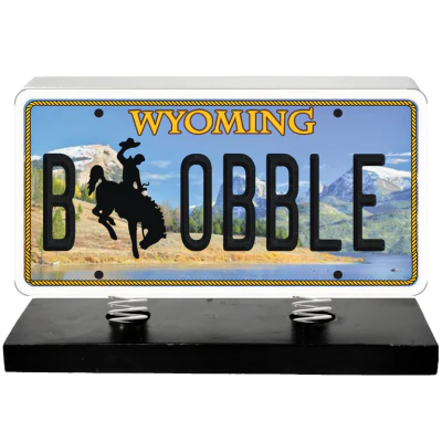 License Plate Bobbles - Image 52