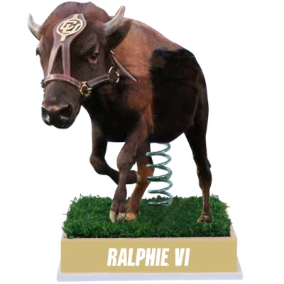 Ralphie VI Colorado Buffaloes Live Mascot Bobblehead (Presale) - Image 2